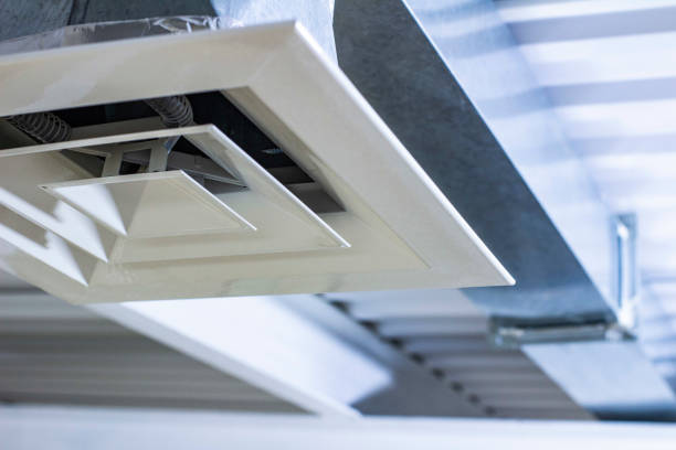 Best Air Duct Mold Removal  in Ladoga, IN