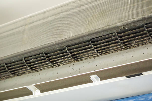 Best Air Vent Cleaning Services  in Ladoga, IN